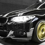 BMW 220i “MC320” by Mcchip-DKR  (10)