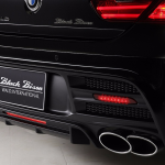 BMW 6-Series Gran Coupe with Black Bison Kit (7)